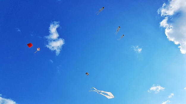 Niski kąt widoku latających smoków na niebie