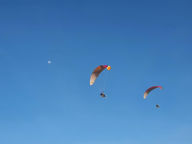 Zdjęcie niski kąt widoku ludzi latających paragliderem na tle niebieskiego nieba