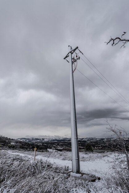 Niski kąt widoku młynów wiatrowych na polu na tle nieba