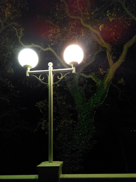 Zdjęcie niski kąt widoku oświetlanego światła na drzewie w nocy