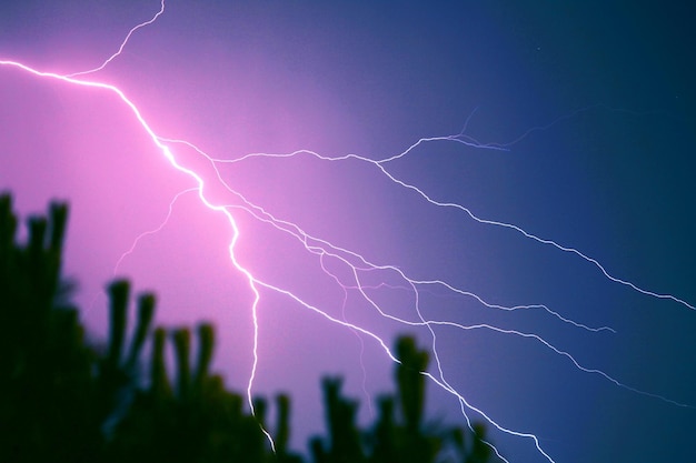 Niski kąt widoku piorunów na tle nocnego nieba