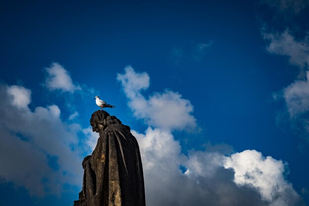 Niski kąt widoku ptaka siedzącego na posągu na tle nieba
