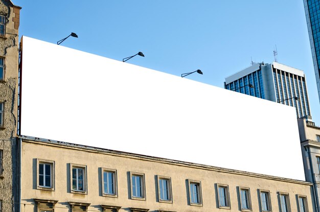 Niski kąt widoku ptaków latających w stronę nieba