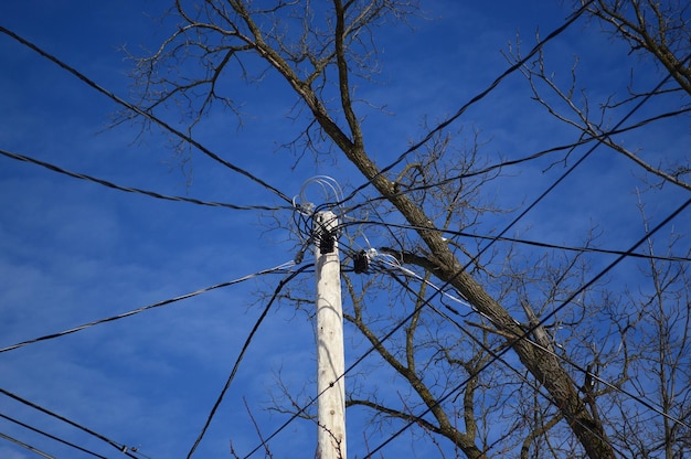 Zdjęcie niski kąt widoku słupów elektrycznych i gołego drzewa na tle nieba