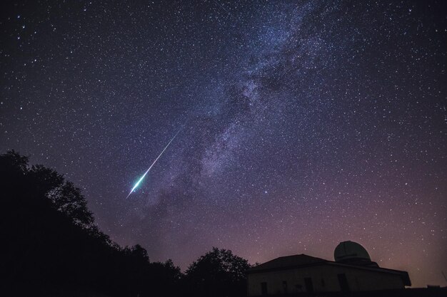 Niski kąt widoku sylwetki drzew na tle nocnego nieba