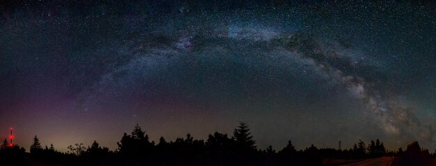 Zdjęcie niski kąt widoku sylwetki drzew na tle nocnego nieba