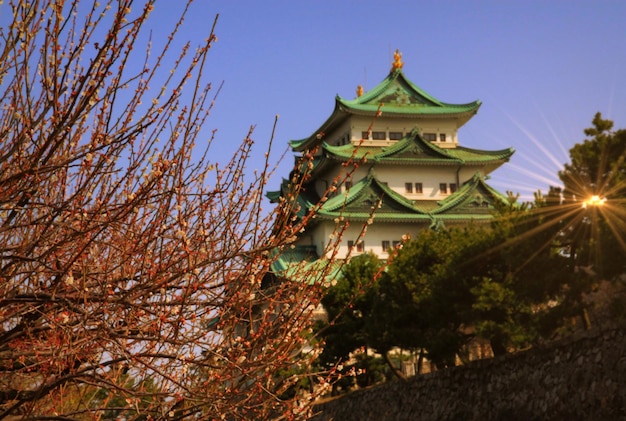Niski kąt widoku zamku nagoya na jasnym niebie