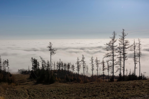 Niskie chmury w górskim krajobrazie Wysokie Tatry Wysokie Tatry pasmo górskie i park narodowy na Słowacji