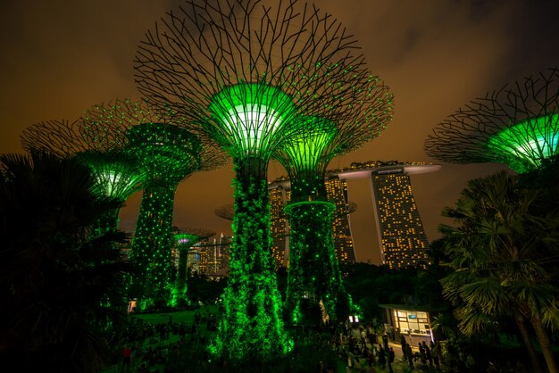 Zdjęcie noc singapore skyline w gardens by the bay