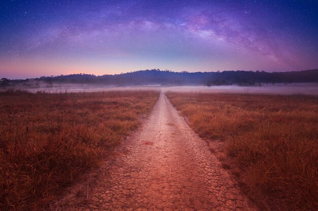 Noc Starry Sky Powyżej Country Road W Wsi I Zielonym Polu. Nocny widok naturalnych świecących św