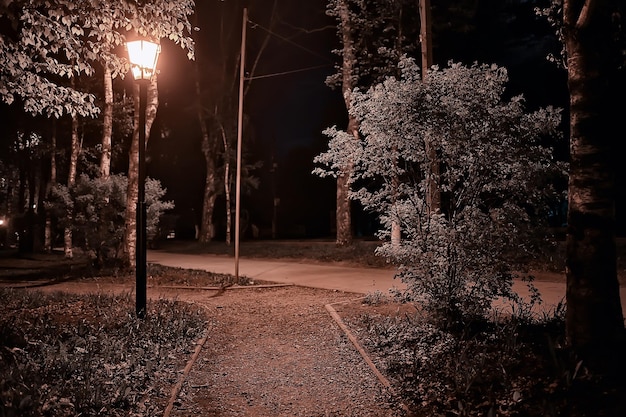 noc w parkowym krajobrazie, abstrakcyjny widok na aleję, drzewa i światła w jesiennym rozmytym tle