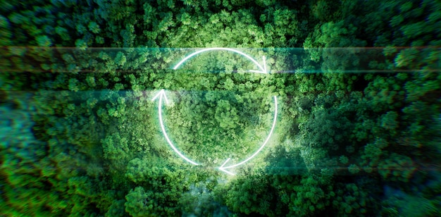 Zdjęcie nocna dżungla oświetlona atmosferycznie przez światło cienkiej świecącej okrągłej ikony recyklingu rendering 3d