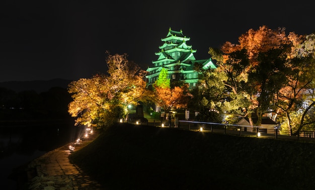 Nocna sceneria zamku Okayama w Okayama, Japonia