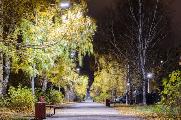 Nocna ulica jesienią ze ścieżkami usianymi opadłymi żółtymi liśćmi i nocnymi lampionami. Jesienny krajobraz nocny.