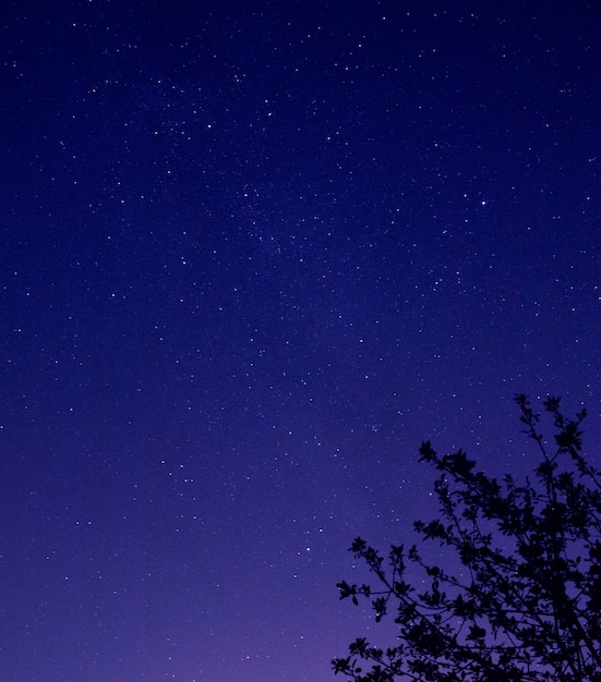 nocne błękitne niebo i tło gwiazdy