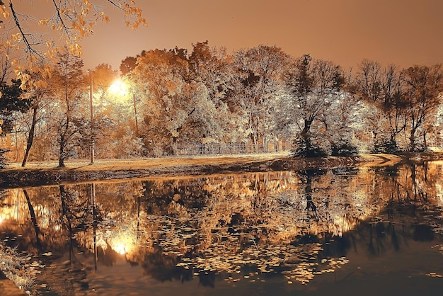 nocny jesienny krajobraz parkowy / piękna noc w miejskim parku z żółtymi drzewami