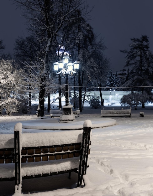 Nocny park zimowy we Lwowie na Ukrainie