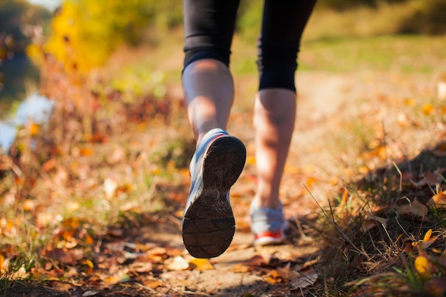 Nogi sportowy młoda kobieta działa w jesiennym parku, widok z bliska. Widok z tyłu nóg kobiety joggingu z pozostawia na nich cienie.