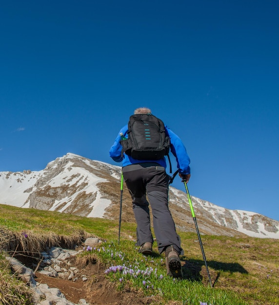 nordic walking