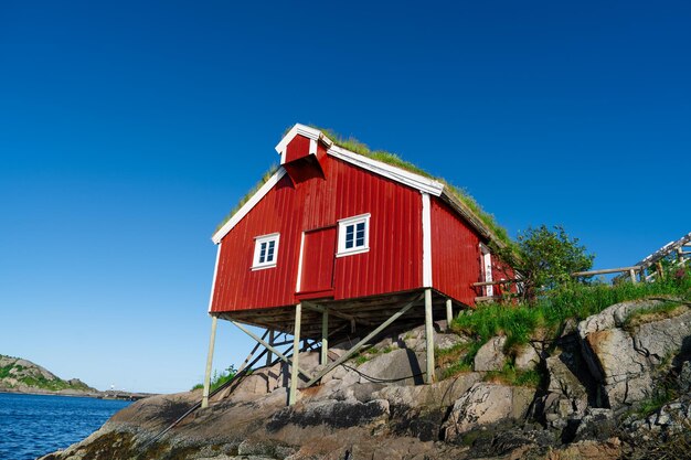 Norwegia rybak czerwony domek rorbu na lofotach typowy dom rybacki