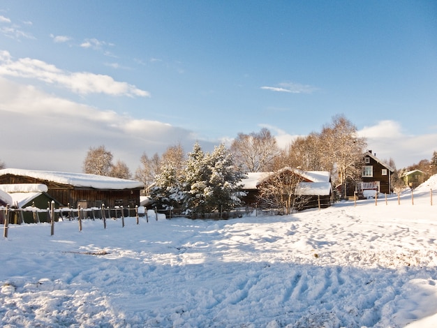 Norwegia Zimowy Pejzaż śnieg