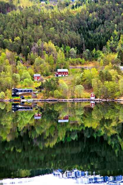 Norweski Krajobraz: Wieś, Góry I Morze