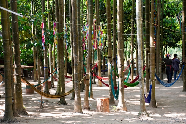 Nosze z siatki hamakowej lub kołyska linowa na palmie w parku ogrodowym Cher Si Ya Karen etniczny lokalny bazar targowy dla Tajów siedzą sen relaksują się w mieście Suan Phueng w Ratchaburi Tajlandia