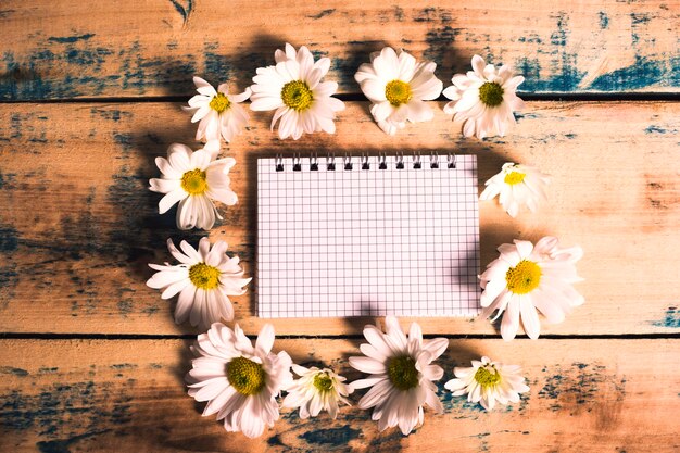 Zdjęcie notatnik na spirali z pustym arkuszem i kwiatami rumianku