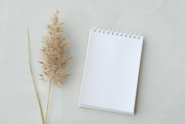 Notatnik papierowy zawiera listę celów i suchych ziół pospolita trzcina lub trawa pampasowa na beżowym tle miejsca kopiowania