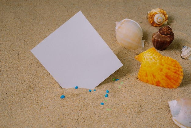 Notatnik Z Muszlą Na Tle Piasku Lub Na Plaży Morskiej Z Wykorzystaniem Tapety Do Edukacji Zdjęcie