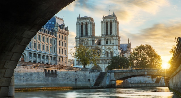 Notre dame de Paris i Sekwany w Paryżu, Francja