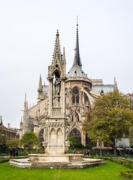 Notre Dame de Paris widok z Placu JeanXXIII