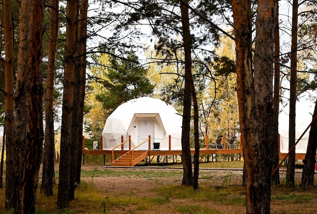 Nowoczesna chata kempingowa glamping w sosnowym lesie