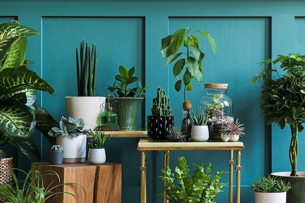 Zdjęcie nowoczesna kompozycja przydomowego ogrodu wypełniła wiele pięknych roślin, kaktusów, sukulentów, roślin powietrznych w różnych wzorniczych donicach. stylowe wnętrze botaniczne. zielone panele ścienne. szablon koncepcji ogrodnictwa domowego