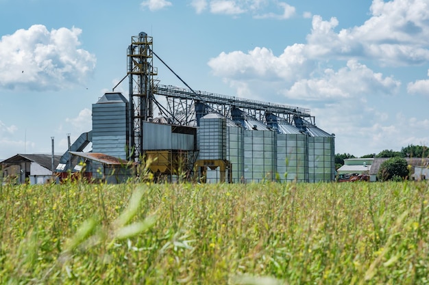 Nowoczesny Elewator Spichlerzy Silosy srebrne na zakładzie przetwórstwa rolno-produkcyjnego do przetwórstwa suszarni czyszczenia i przechowywania płodów rolnych mąki zbóż i zbóż