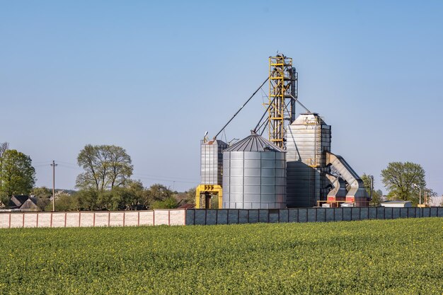 Nowoczesny Elewator Spichlerzy Silosy srebrne na zakładzie przetwórstwa rolno-produkcyjnego do przetwórstwa, suszenia, czyszczenia i przechowywania produktów rolnych, mąki, zbóż i zbóż, linii do czyszczenia nasion