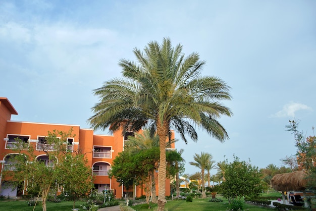 Nowoczesny hotel wypoczynkowy w tropikalnym kraju palma na tle niebieskiego nieba Turystyka i rekreacja