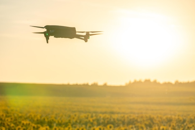 Nowoczesny quadkopter leci nad polem słoneczników przed zachodem słońca Zastosowanie nowoczesnych technologii w kompleksie rolno-przemysłowym Dron pomaga rolnikowi w agrobiznesie