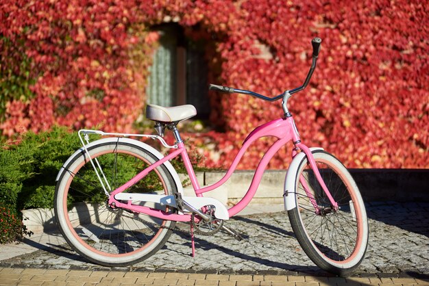 Nowoczesny rower różowy dama w mieście