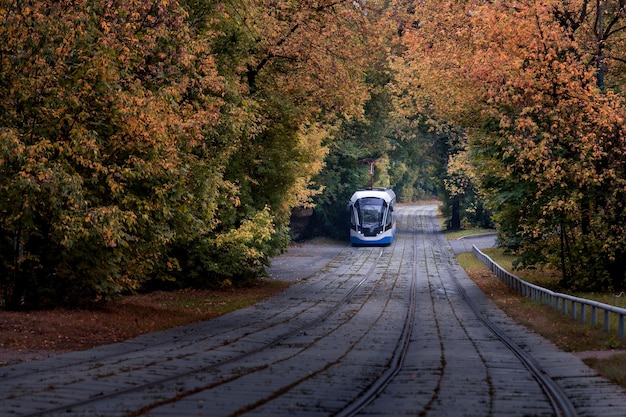 Nowoczesny Tramwaj Wyjeżdża Z Gęstego Lasu W Jesiennych Barwach Moskwa Rosja