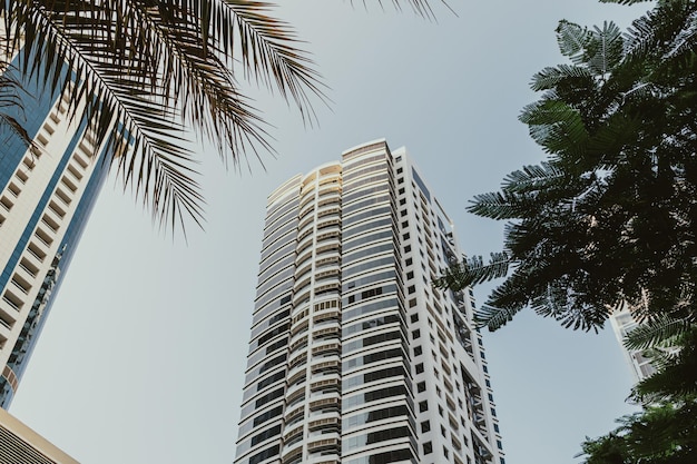 Nowoczesny wieżowiec biznesowy w ciągu dnia i budynek mieszkalny z błękitnym niebem i palmami