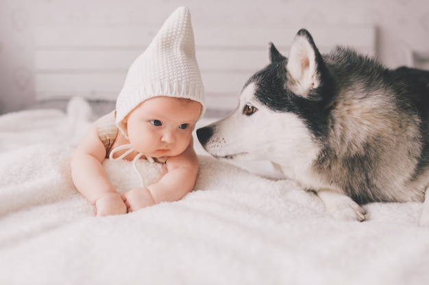 Nowonarodzonego Dziecka Stylu życia Miękkiej Ostrości Portret Kłama Na Plecy Wraz Z Husky Szczeniakiem Na Białym łóżku. Przyjaźń Małego Dziecka I Uroczego Psa Husky. Uroczy Dziecięcy śmieszny Dziecko Odpoczywa Z Zwierzęciem Domowym W Nakrętce.