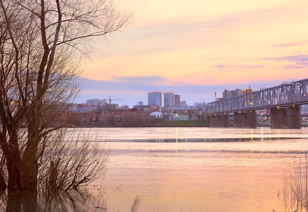 nowosybirsk syberia rosja05032021 rano nad rzeką ob nagie drzewa w wodzie