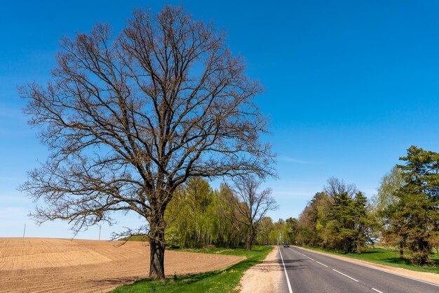 Nowy nowoczesny asfalt na terenach wiejskich Wysokiej jakości warunki do rozwoju biznesu w zakresie transportu ładunków i logistyki