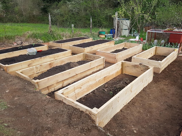 nowy ogród warzywny zbudowany z podniesionymi drewnianymi łóżkami z żyzną glebą do uprawy