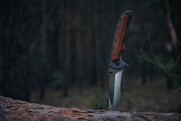 Zdjęcie nóż taktyczny do przetrwania i ochrony w trudnych warunkach wbity w pień drzewa w lesie