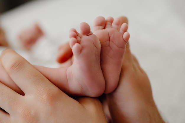 Nóżki noworodka w rękach rodziców Happy Family oncept Mama i Tata przytulają swoje niemowlęce nóżki