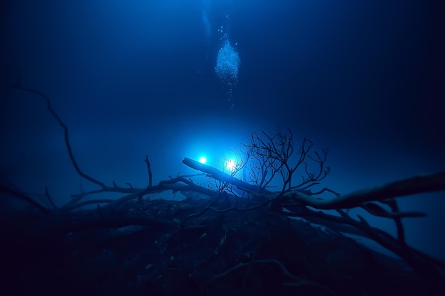 nurkowanie krajobrazowe w cenote, podwodna mgła siarkowodór, ekstremalna przygoda w meksyku