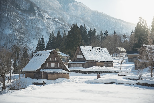 Obfite Opady śniegu W Ekstremalnej Zimie Pokryte Drzewami, Domami I ścieżką