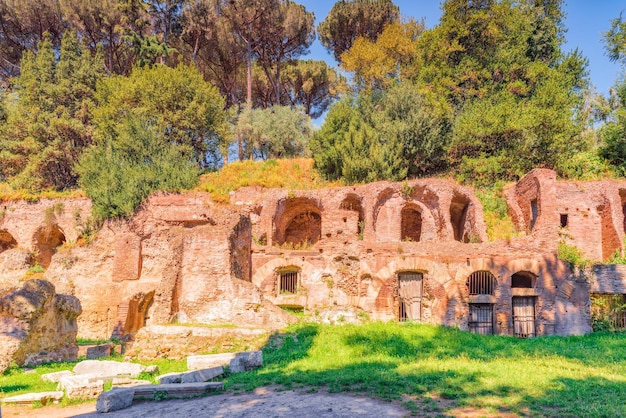 Obiekty archeologiczne i historyczne w Rzymie zjednoczone pod nazwą Forum Romanum Forum Romanum i Wzgórze Palatyńskie